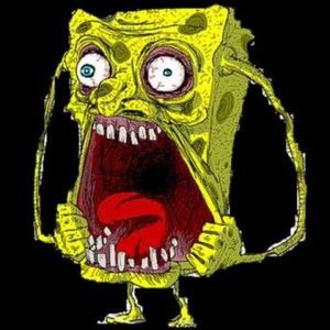 Meet your Posher, Rita